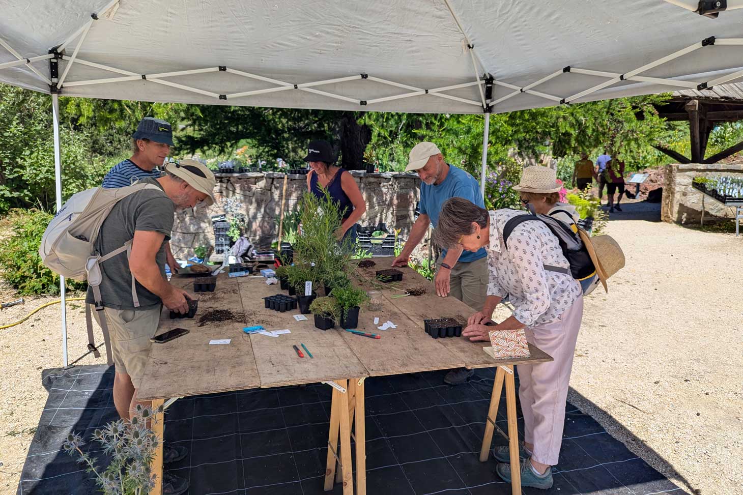 atelier multiplication de plantes au jardin du Lautaret avec Flosab