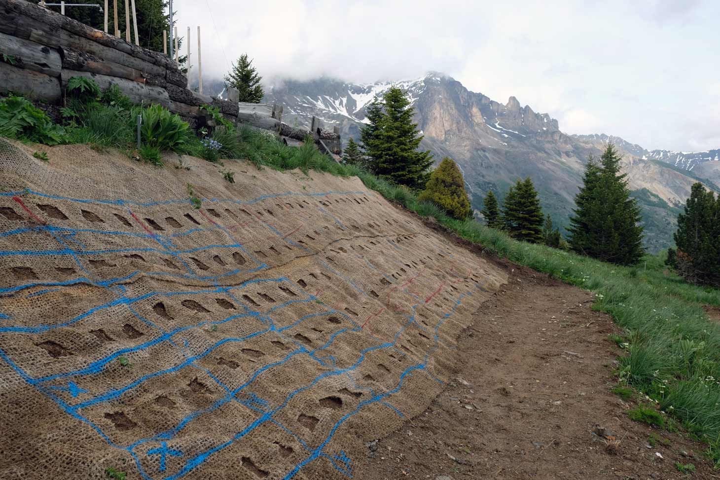Conférence : Restaurer les talus de montagne
