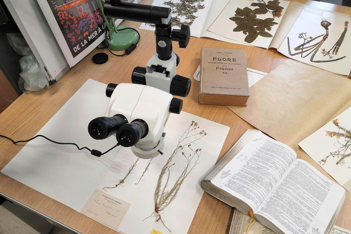 Herbier de l'Université Grenoble Alpes