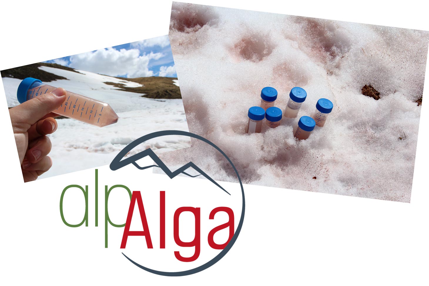 atelier sciences participatives au Lautaret, sang des glaciers