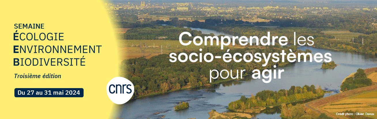 Semaine écologie environnement biodiversité