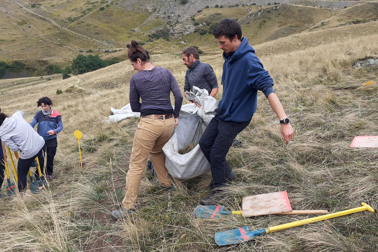 Décaissement de carrés d'alpages secteur du Lautaret