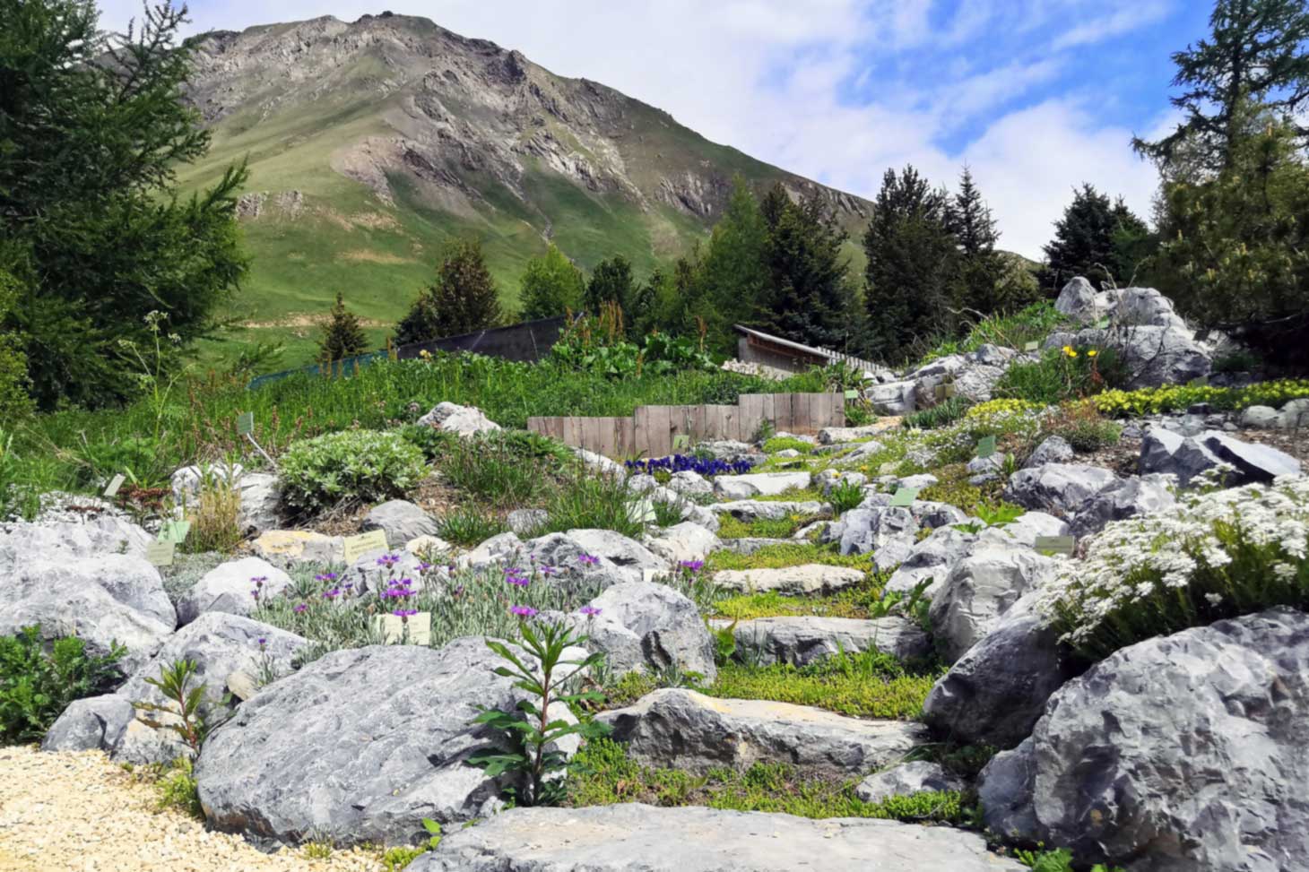 vue du jardin du Lautaret