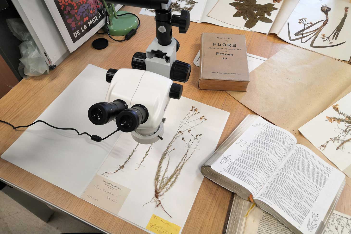 Herbier de l'Université Grenoble Alpes