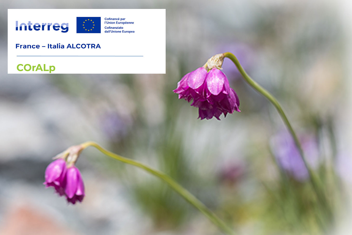 Projet Alcotra COrALp