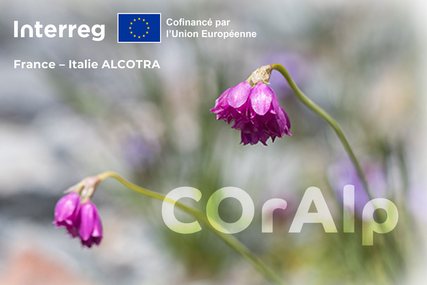 Projet Alcotra COrAlp