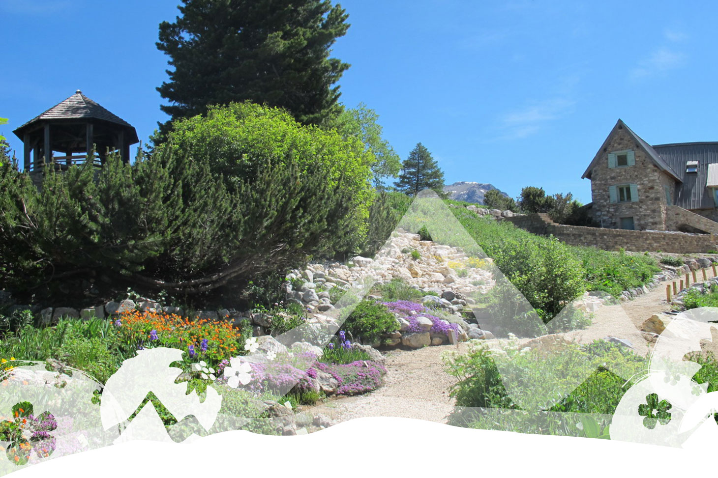 La flore du jardin du Lautaret