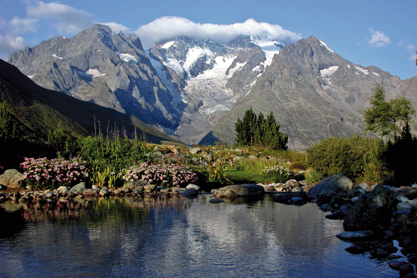 Lautaret Garden - Meije peak point of view