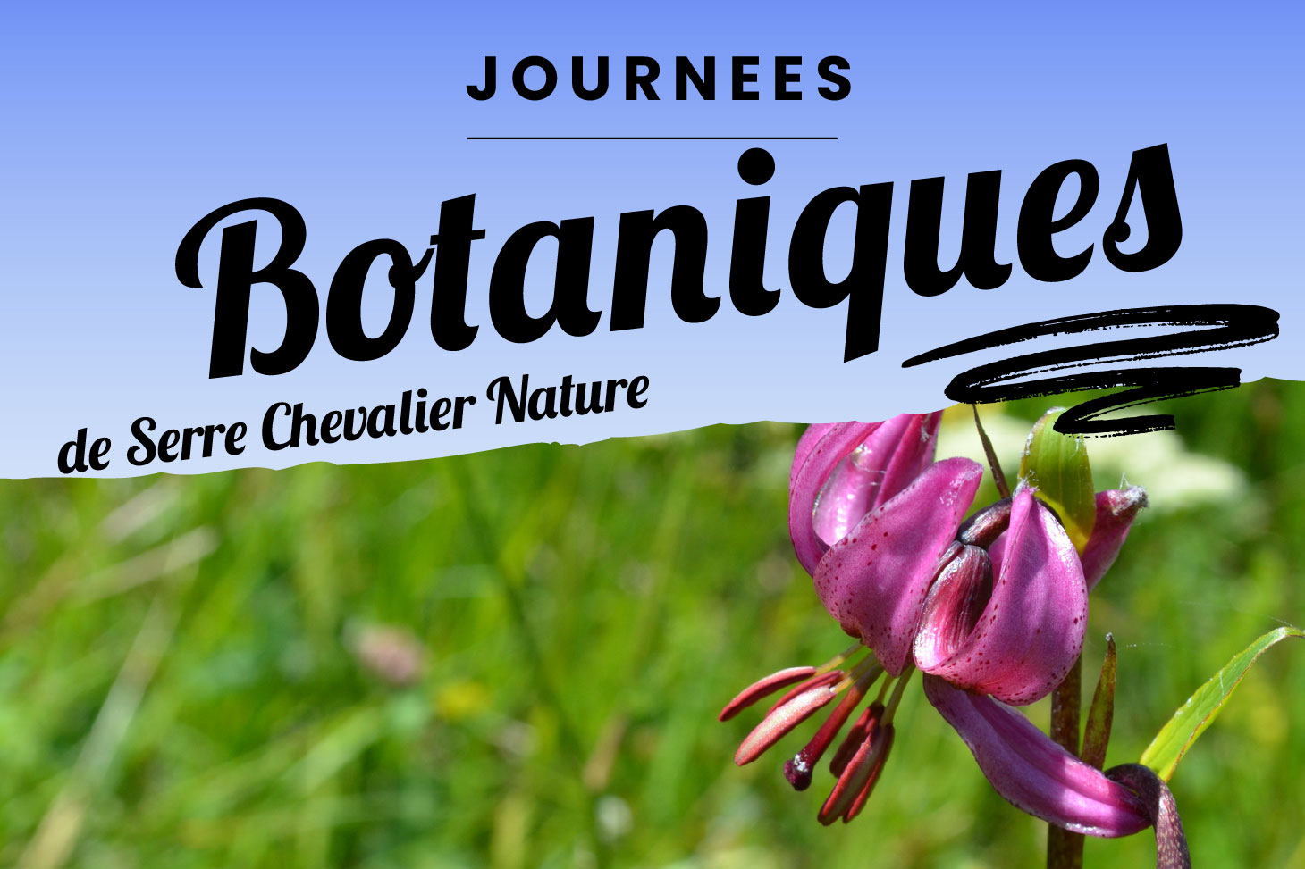 Balade boatnique sur les pentes du Galibier