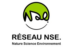 Réseau NSE