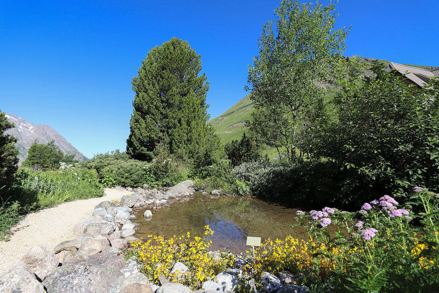 Le jardin du Lautaret entre fleurs, cours d'eau et montagnes