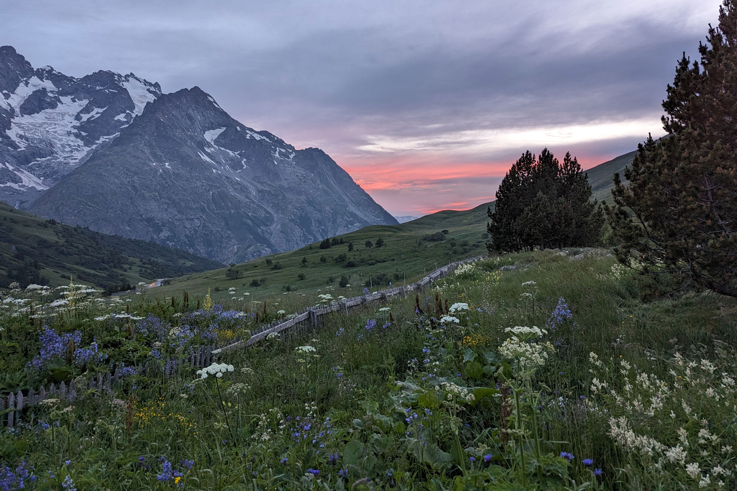 Coucher de soleil au jardin