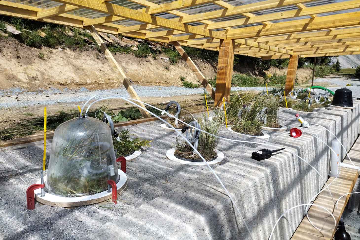 Conférence : Le microbiome des sols alpins, moteur invisible du cycle du carbone