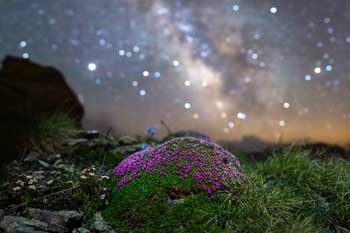 stage photographie ciel étoilé et paysage nocturne