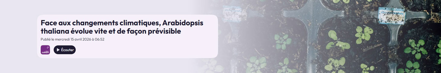 Radio Show #Avec Sciences - France Culture